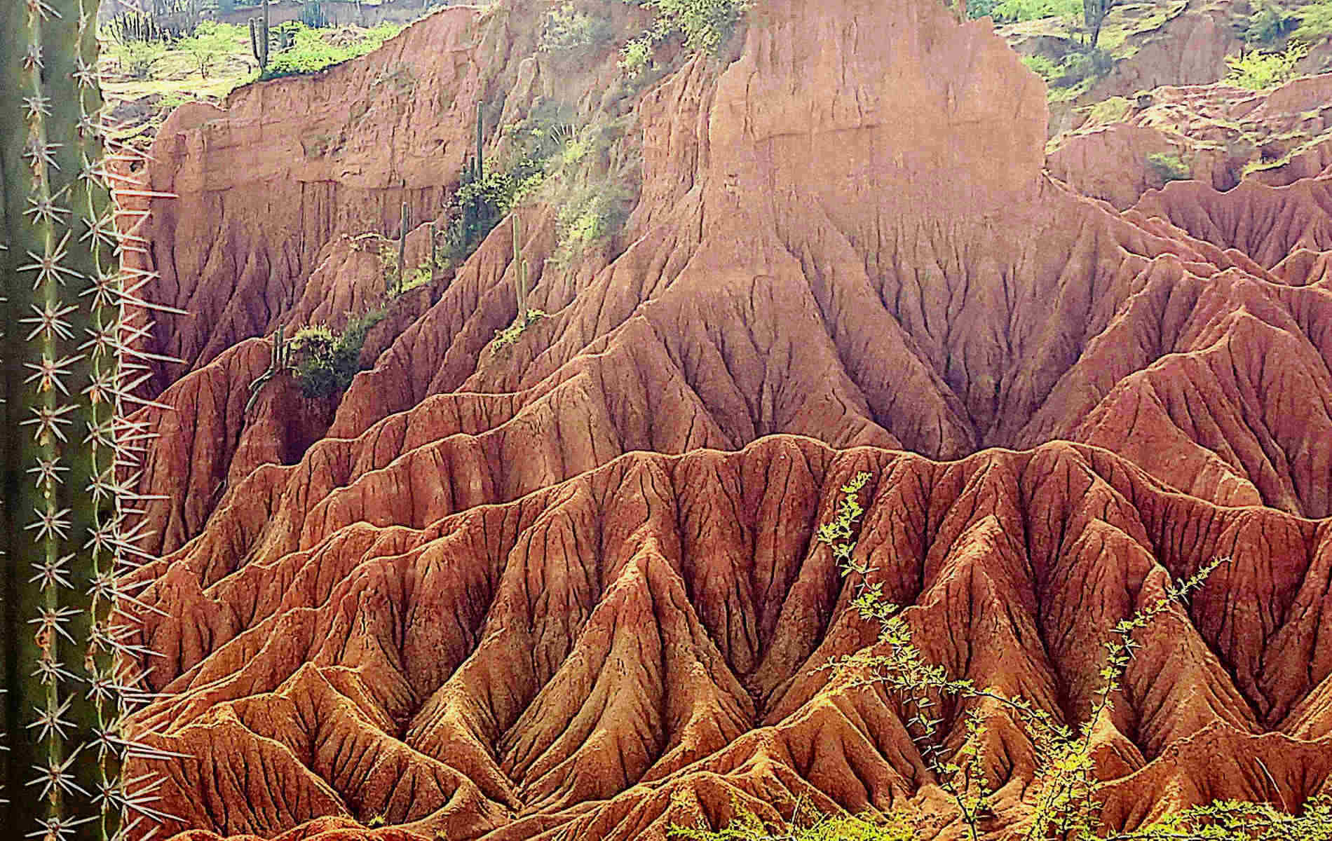  Salento -> Armenia -> Neiva -> Villavieja -> Desierto de Tatacoa