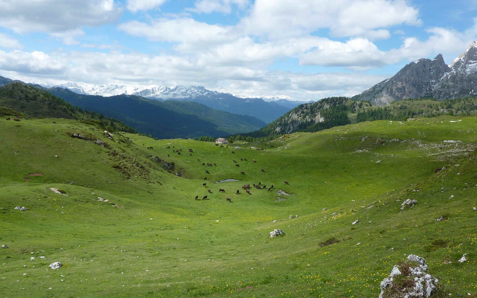  en route vers le refuge Graffer