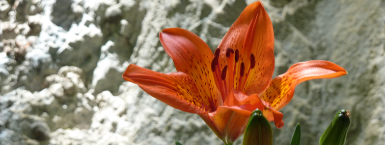 Les Dolomites de Brenta