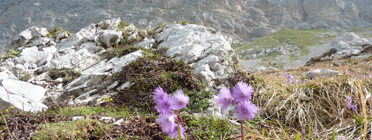 Les Dolomites de Brenta