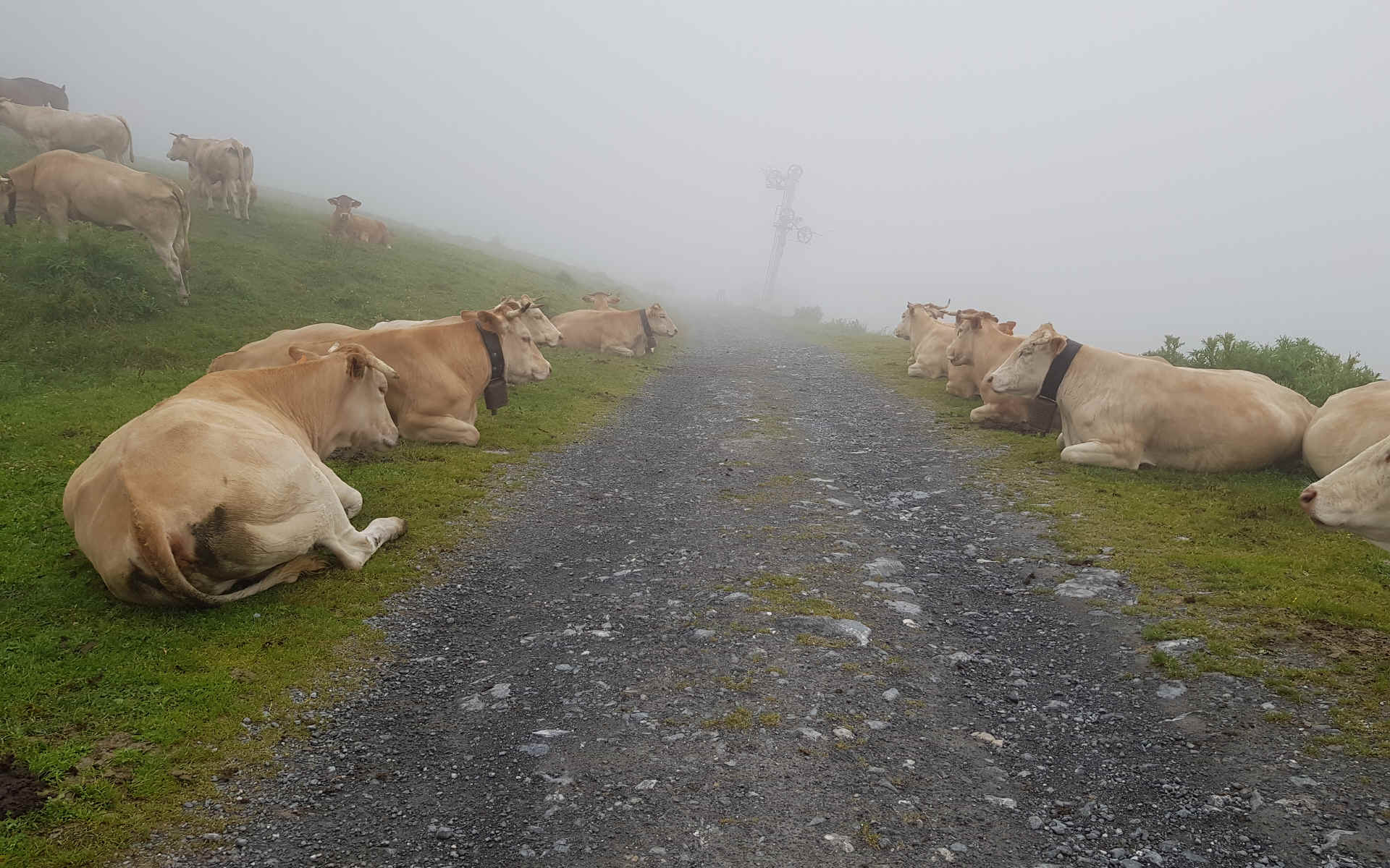  Les Viellettes - Cauterets
