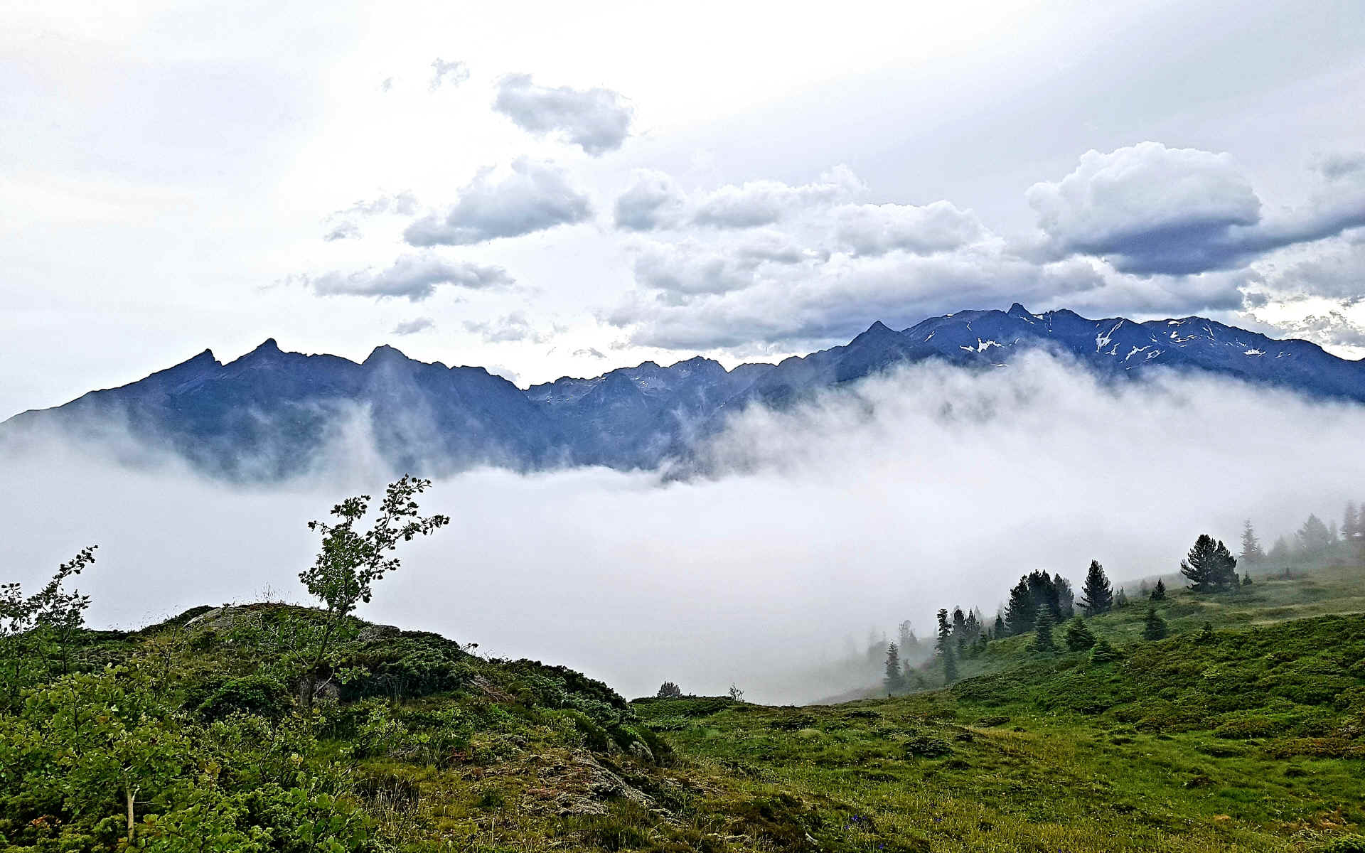  gîte de Saugué - Luz St Sauveur
