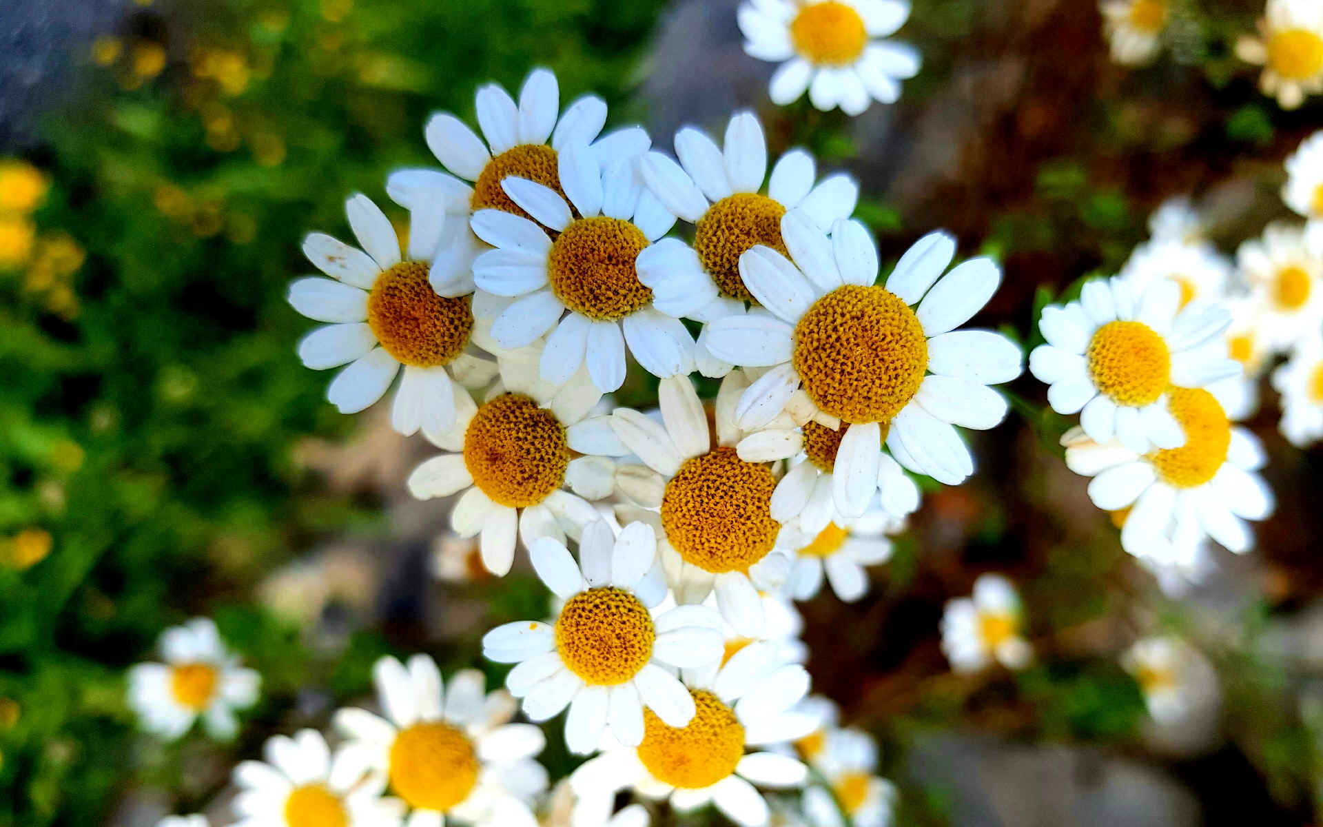 refuge du lac de l'Oule - Azet