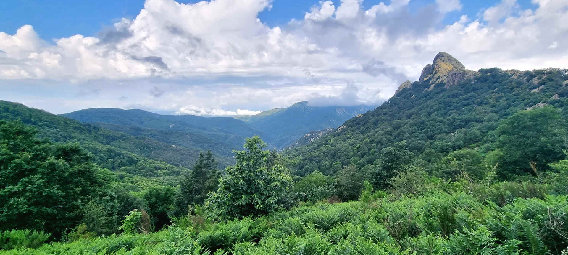  Mas de la Fargassa - Las Illas