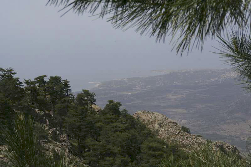  Calenzana - Ortu di u Piobbu