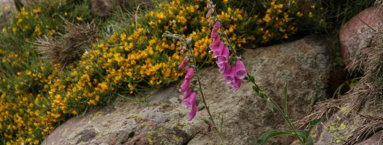 Corsica GR20 Nord-Sud