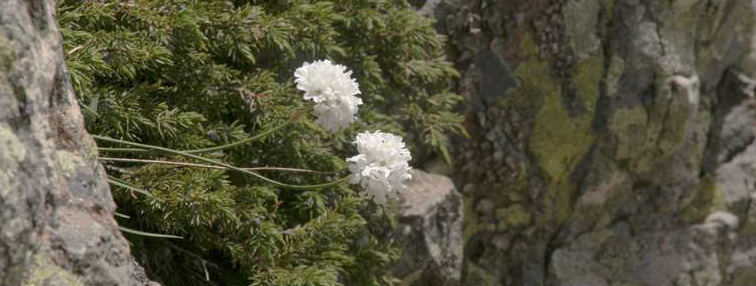 Corsica GR20 Nord-Sud