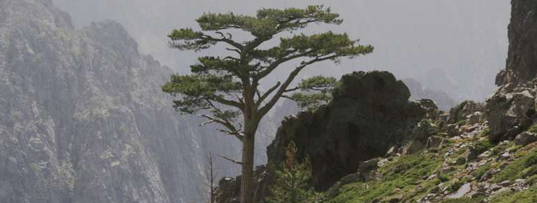 Corsica GR20 Nord-Sud