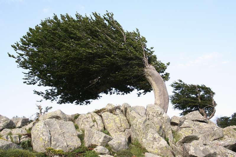  U Vallone - Ciottulu à i Mori - Bocca a Reta