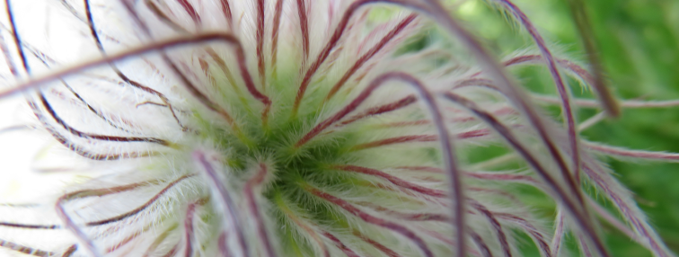 Alpes Gr 5 Nord - Leman Modane