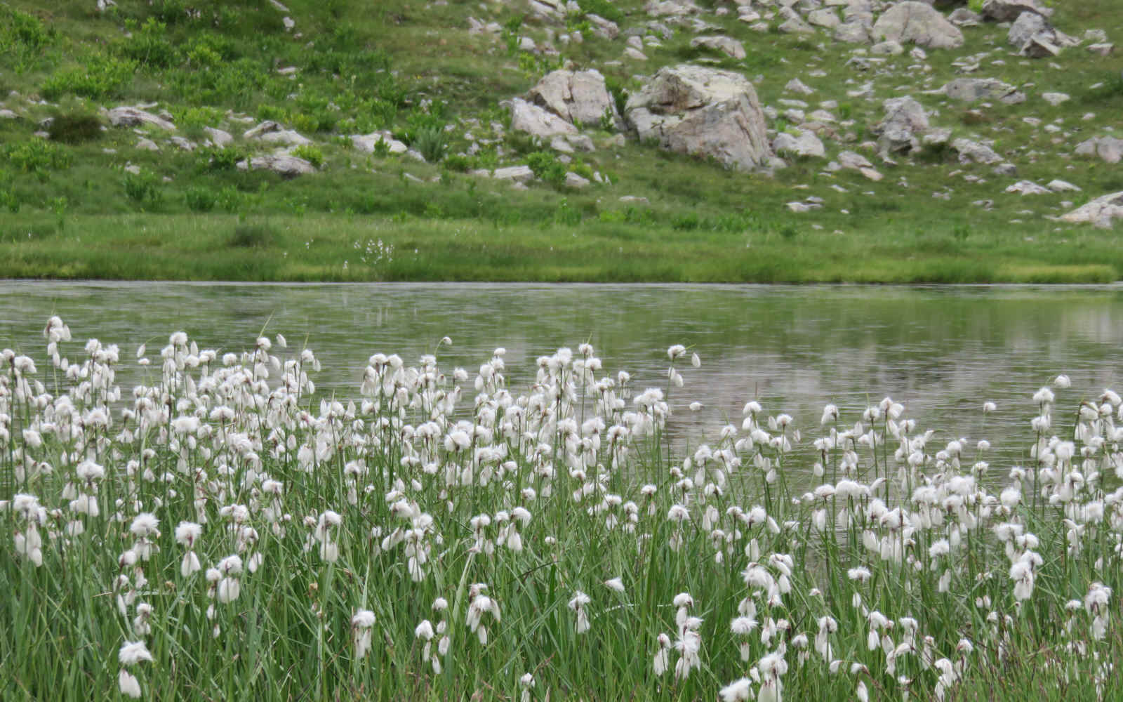  St Dalmas Valdeblore - Le Boréon