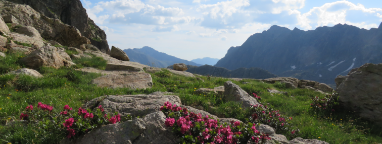 Alpes Gr 5 Sud - Modane Menton