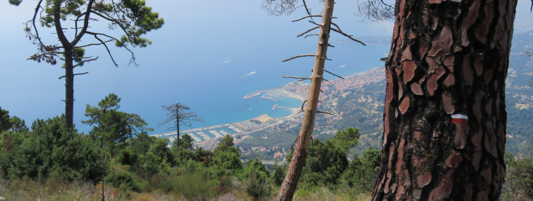 Alpes Gr 5 Sud - Modane Menton