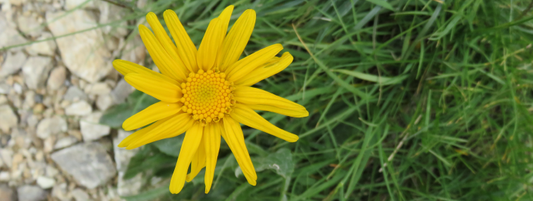 Alpes Gr 5 Sud - Modane Menton