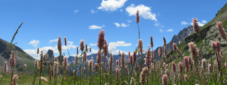 Alpes Gr 5 Sud - Modane Menton
