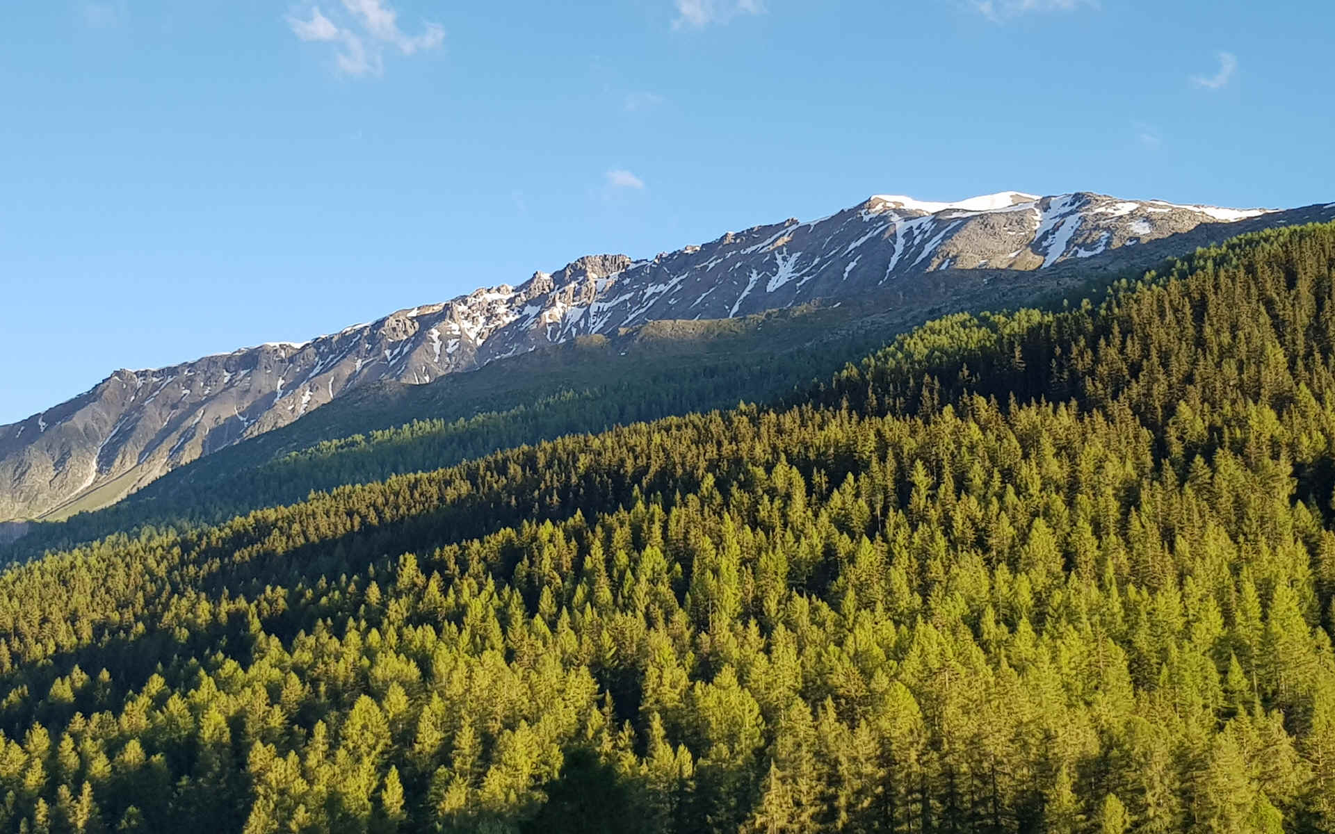  Col de la Flüela > Tschierv