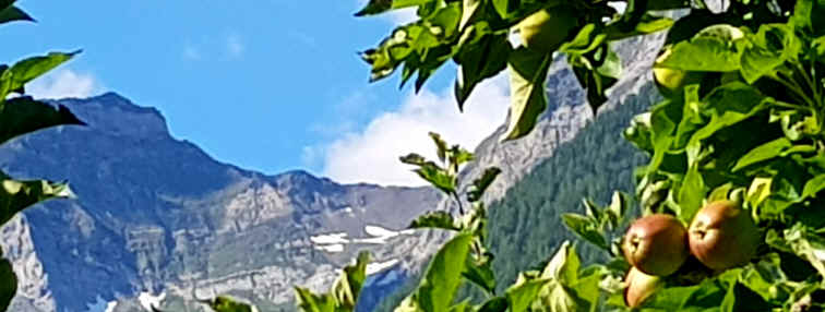 Hommage aux Origines