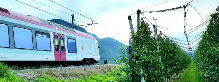 Hommage aux Origines