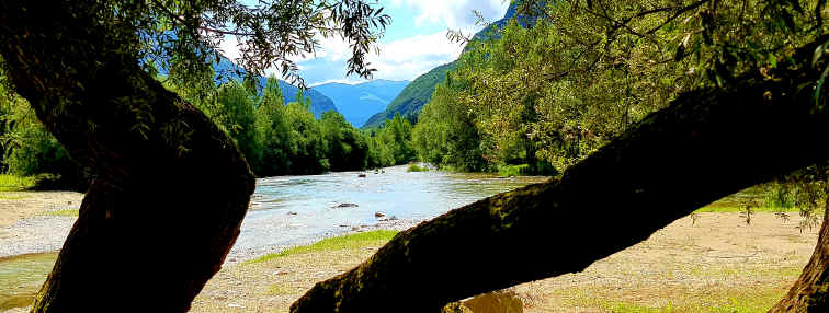 Hommage aux Origines