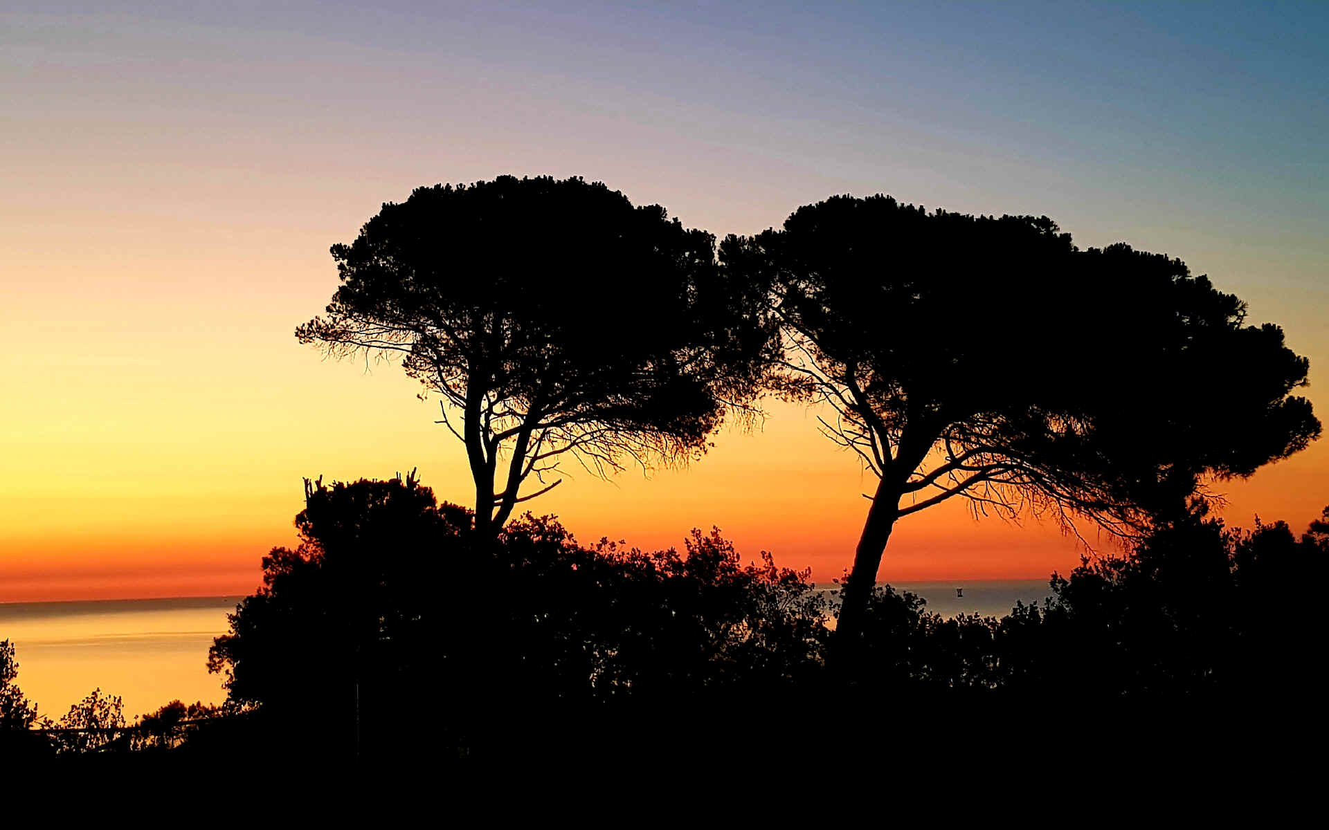  Porto Civitanova > Cupra Marittima