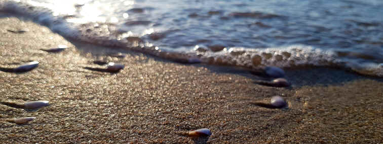 Hommage aux Origines