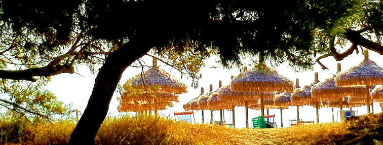 Hommage aux Origines