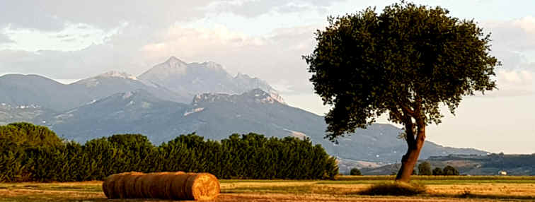 Hommage aux Origines