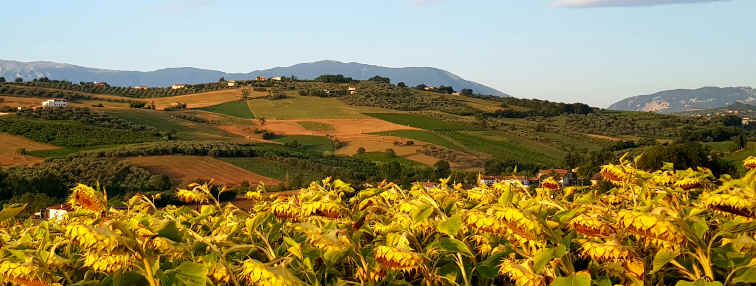 Hommage aux Origines