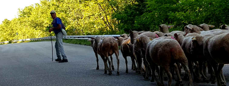 Hommage aux Origines