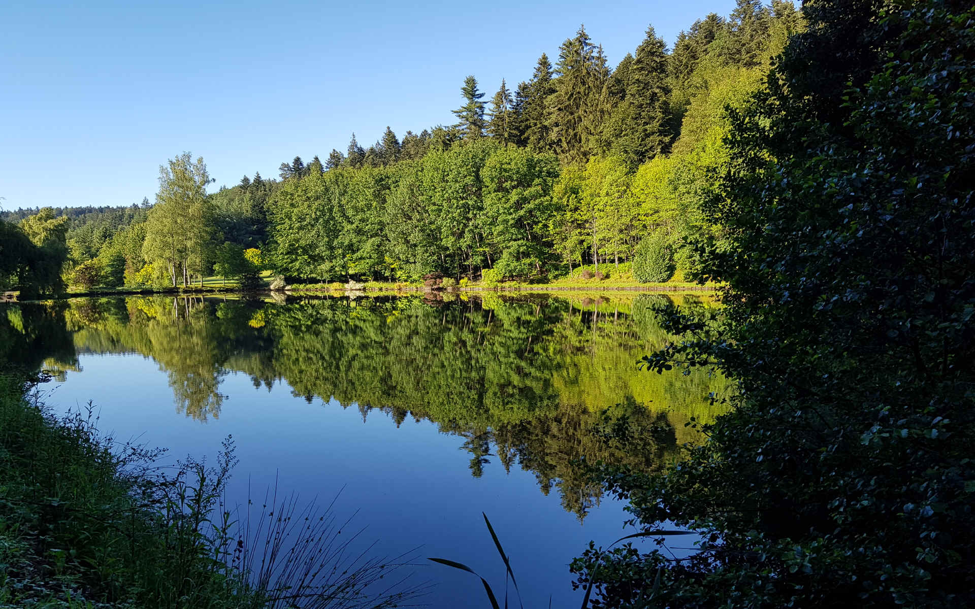  Lezey > Étang de Thiaville