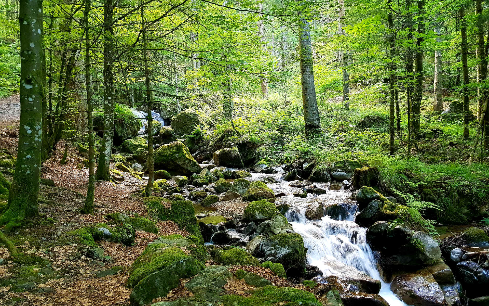  Oberried > Ühlingen