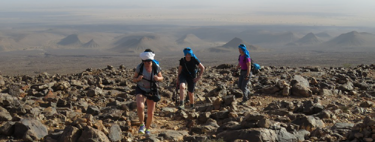 Désert dans la vallée du Drâa. 