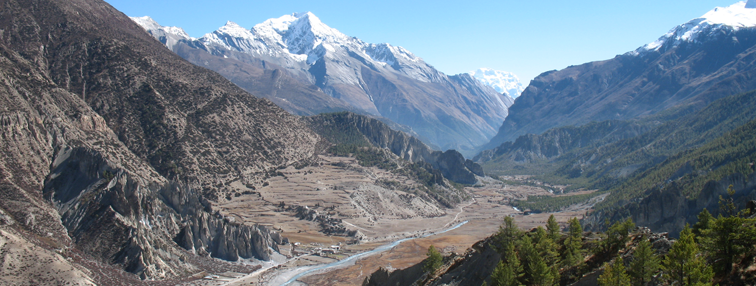 Népal : La vallée de Nar - Phoo