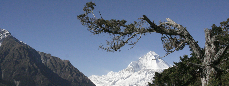 Népal : La vallée de Nar - Phoo