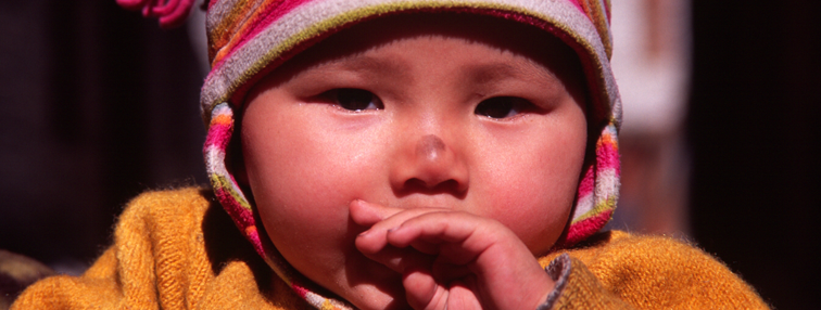 Népal : La vallée de Nar - Phoo