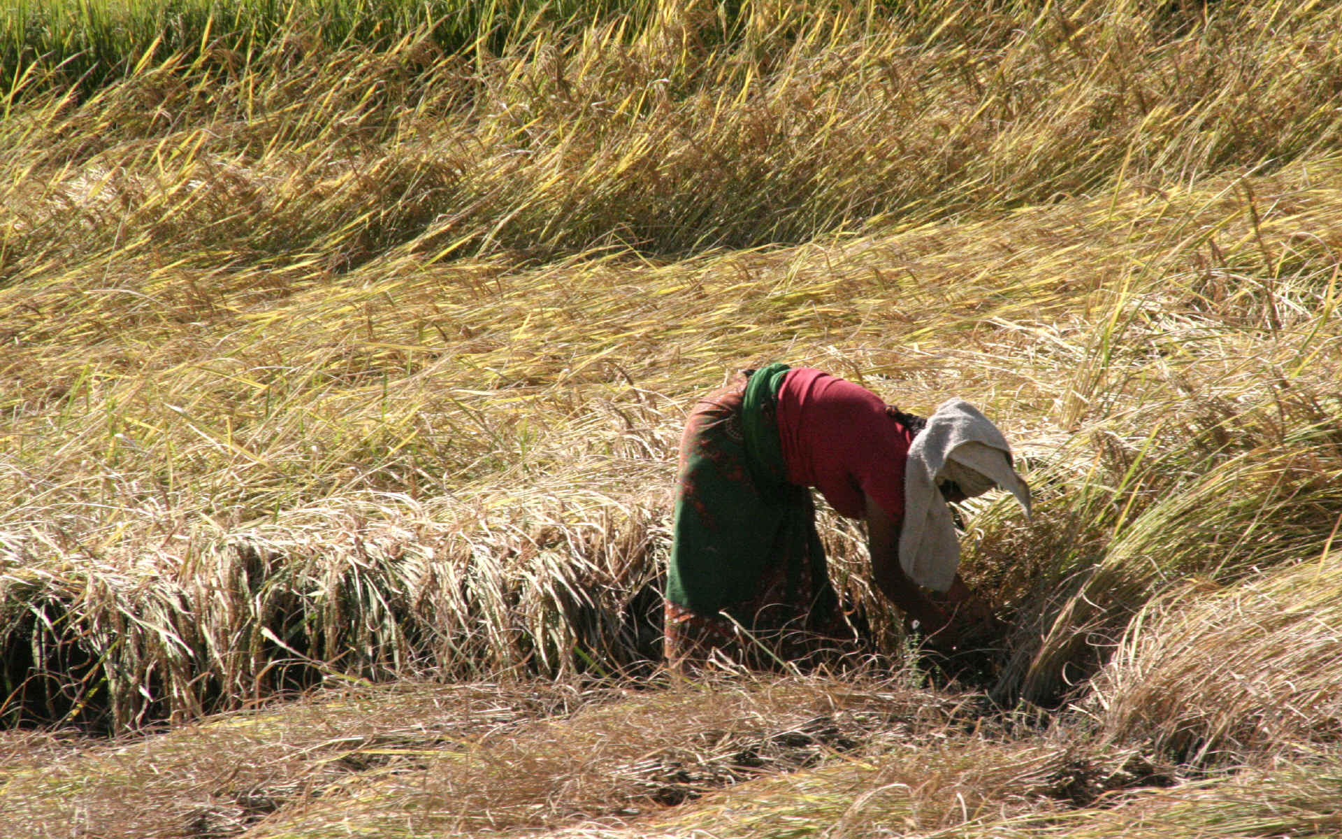  Katmandou - Besi Sahar - Bhulbhule