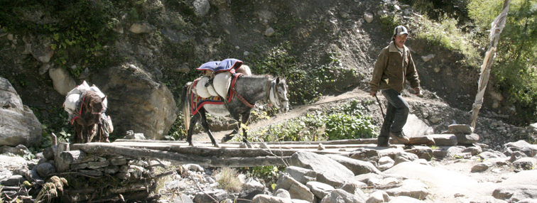 Népal : La vallée de Nar - Phoo