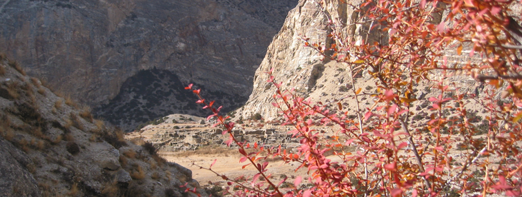 Népal : La vallée de Nar - Phoo