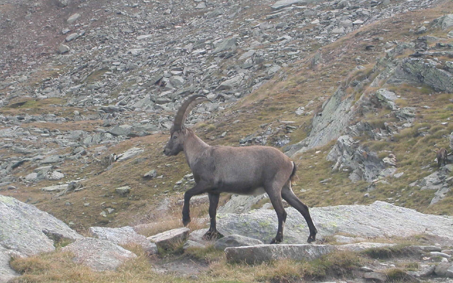  en route vers le refuge Vittorio Sella
