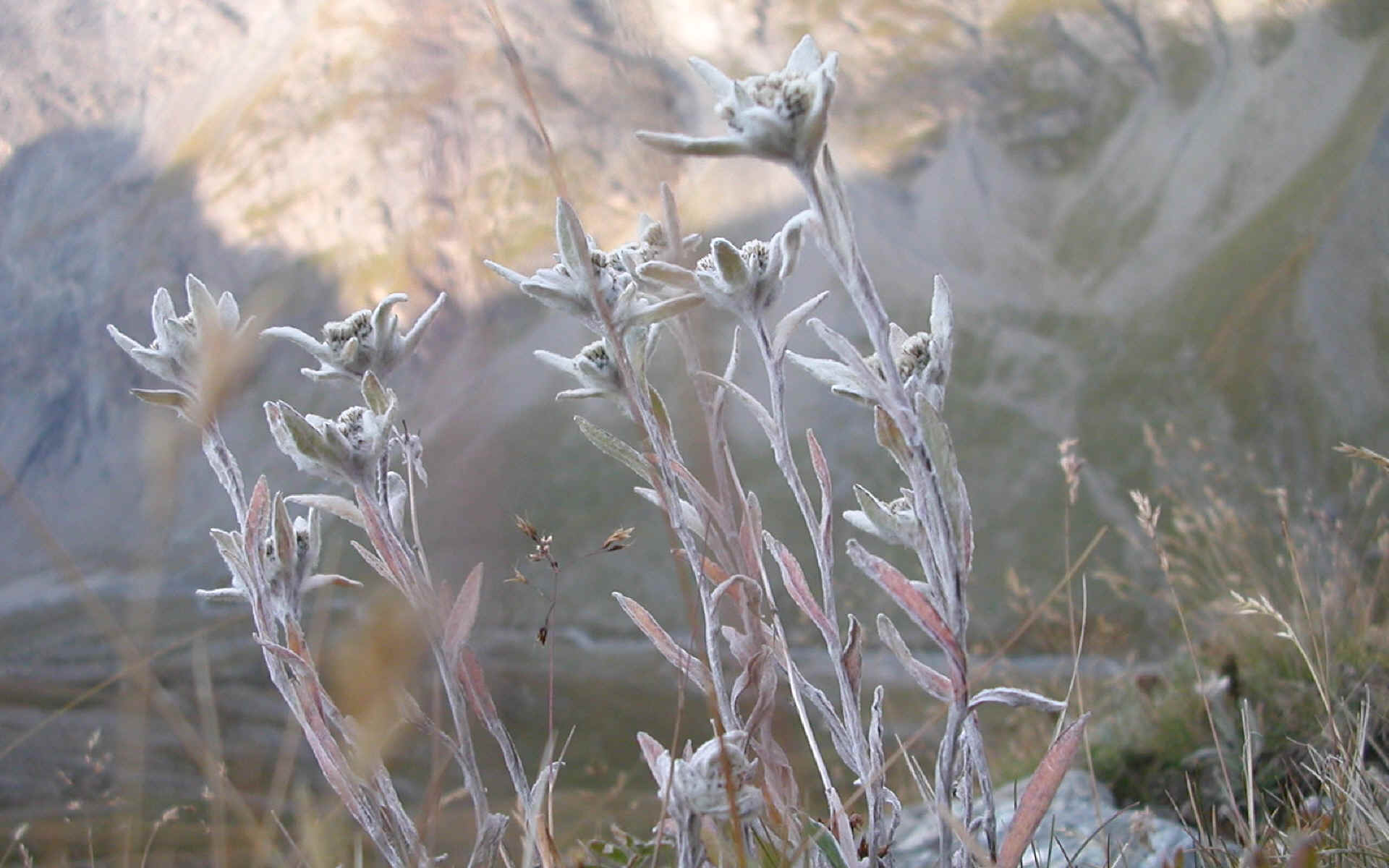  Haute route glacière et fin du voyage.