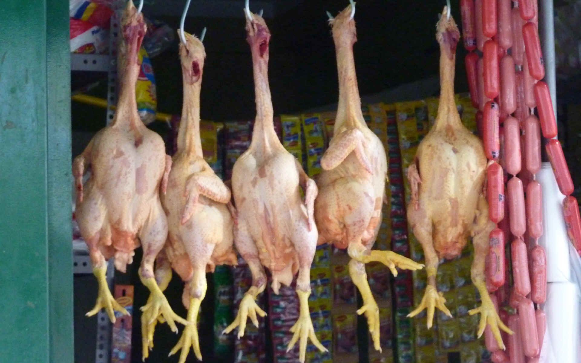  Pacllon - Huaraz - Lima