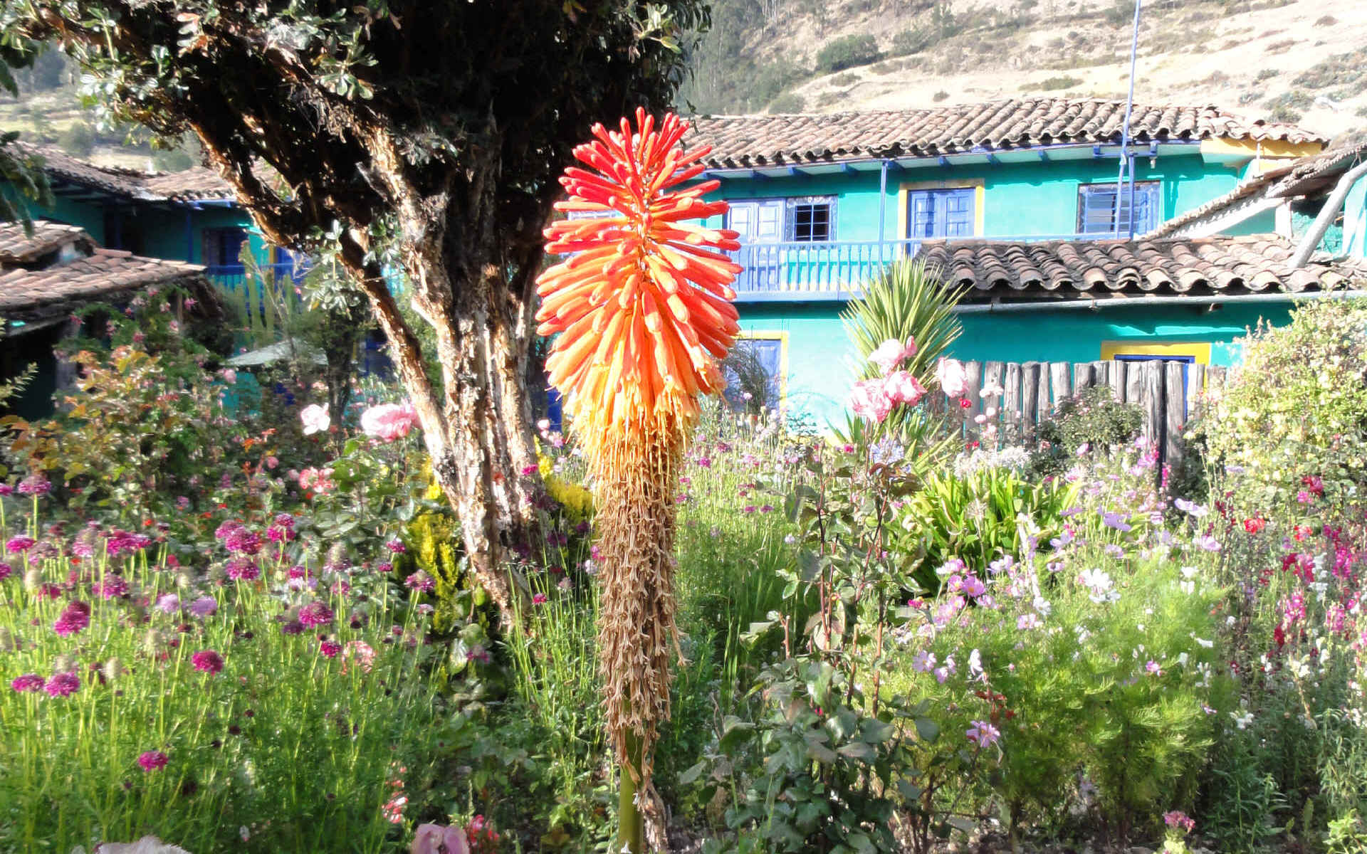  Chiquian - Llamac - Jahuacocha