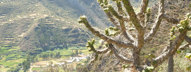 La cordillère Huayhuash