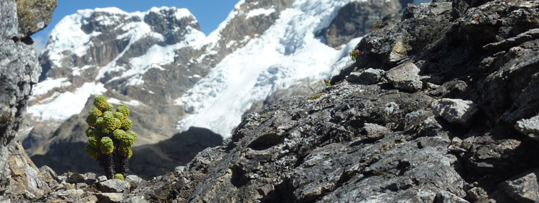 La cordillère Huayhuash