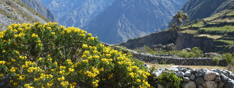 La cordillère Huayhuash