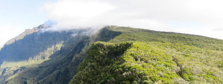 Île de la Réunion