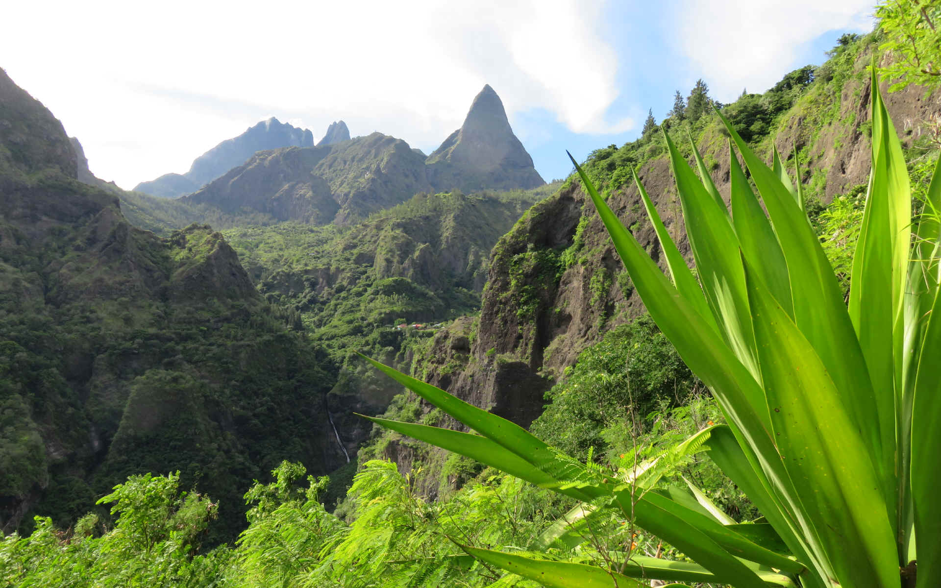  Cayenne - Roche Plate