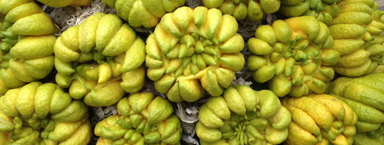 Vietnam du Nord au Sud