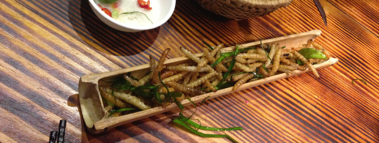 Vietnam du Nord au Sud