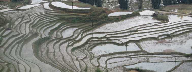 Vietnam du Nord au Sud
